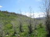 3258 Water Canyon Ave - Photo 4