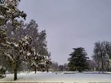 989 900 - Photo 23