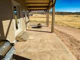 46997 Thunder Ridge Rd - Photo 54
