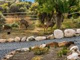 164 100 - Photo 124