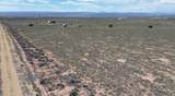 3575 00-0035-1781 - Photo 2