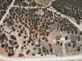 17501 Silverpeak Ln - Photo 3