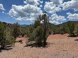17501 Silverpeak Ln - Photo 7