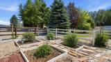 3220 Horse Thief Dr - Photo 56