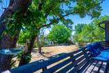 10446 Weeping Willow Dr - Photo 28