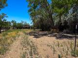 709 450 - Photo 5