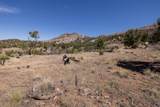 4 La Sal Pass Spur - Photo 11