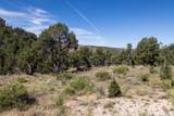 4 La Sal Pass Spur - Photo 14