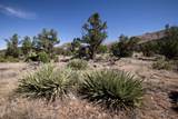 4 La Sal Pass Spur - Photo 4