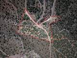 4 La Sal Pass Spur - Photo 30