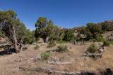 4 La Sal Pass Spur - Photo 5