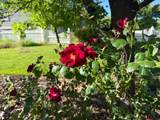 862 1150 - Photo 2