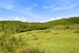 686 Deer Hill Rd - Photo 20