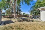 402 10185 - Photo 28