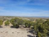 12880 George Marett Dr - Photo 5