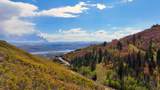 3267 Deer Hollow Rd - Photo 23