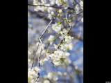 468 3500 - Photo 11