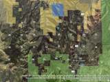 5 Acres Near Dry Lakes Rd - Photo 3