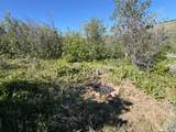 349 Wildcat Rd - Photo 2