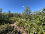 349 Wildcat Rd - Photo 15