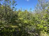 349 Wildcat Rd - Photo 4