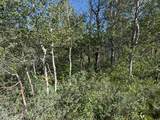 349 Wildcat Rd - Photo 8