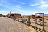 7145 Ridge Rd - Photo 43