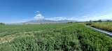 400 400 - Photo 26
