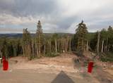 2 Skyline Terrace Ct - Photo 4