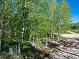 3991 Blazing Star Way - Photo 21