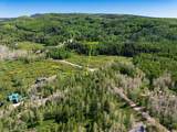 3991 Blazing Star Way - Photo 6