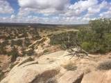 187 Bridger Jack Trail - Photo 2