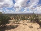 187 Bridger Jack Trail - Photo 12