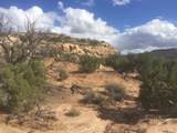 187 Bridger Jack Trail - Photo 14
