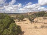 187 Bridger Jack Trail - Photo 15