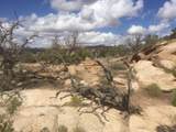 187 Bridger Jack Trail - Photo 16