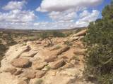 187 Bridger Jack Trail - Photo 22