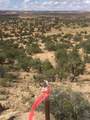 187 Bridger Jack Trail - Photo 24