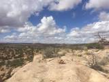 187 Bridger Jack Trail - Photo 30