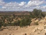 187 Bridger Jack Trail - Photo 36