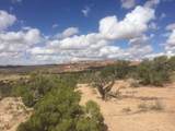 187 Bridger Jack Trail - Photo 6