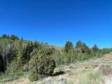 349 Mill Canyon Rd - Photo 11