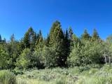 349 Mill Canyon Rd - Photo 13