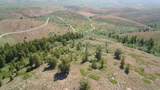 349 Mill Canyon Rd - Photo 36