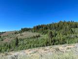 349 Mill Canyon Rd - Photo 5