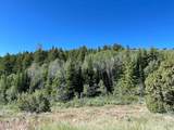 349 Mill Canyon Rd - Photo 10