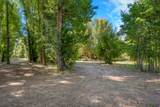 2317 Big Bear Ln - Photo 5
