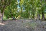 2317 Big Bear Ln - Photo 6