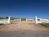 1232 Sharon Loop - Photo 5