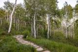 10584 Basin Canyon Rd - Photo 39